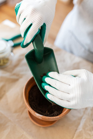 close up of woman planting pot flowers at homeの写真素材