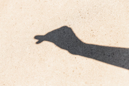 close up of hand showing heart gesture with shadow