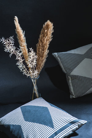 dry plants in vase and pillows in dark roomの写真素材