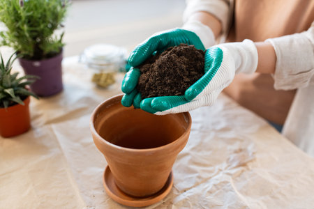 close up of woman planting pot flowers at homeの写真素材
