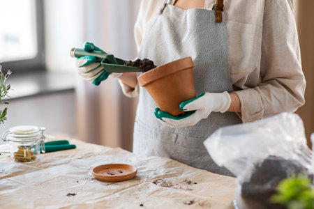 close up of woman planting pot flowers at homeの写真素材