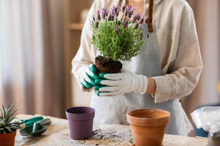 close up of woman planting pot flowers at homeの写真素材