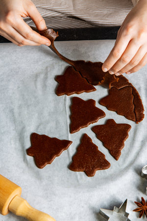close up of hands working with gingerbread doughの写真素材