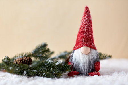 close up of christmas gnome and fir branch on snow
