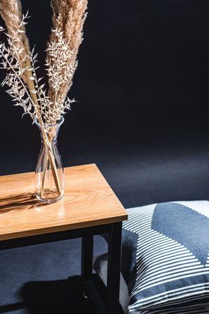 plants in vase on bench and pillows in dark roomの写真素材