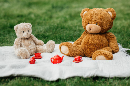 teddy bears and toy crockery on blanket at parkの写真素材
