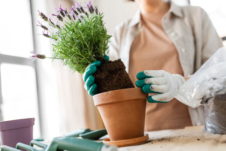 close up of woman planting pot flowers at home