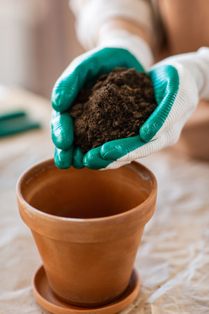 close up of woman planting pot flowers at homeの写真素材