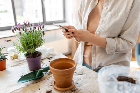 close up of woman with smartphone planting flowersの写真素材