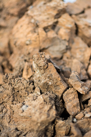 Photo's cracked earth at spring. Drought. Close-up.の写真素材