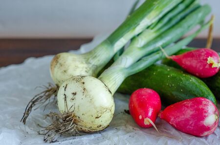 fresh vegetables from the garden (onion, radish, cucumber)の写真素材