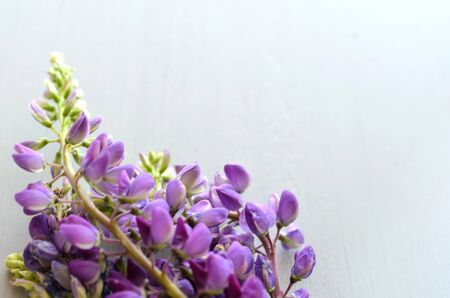 Wild flowers on wooden background with copy space.の写真素材