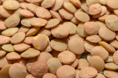 raw lentils close-up, healthy eating concept.の写真素材