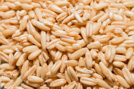 natural oat grains close-up, healthy eating concept, food background.の写真素材