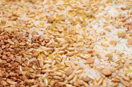 Various seeds and grains close up, food background.