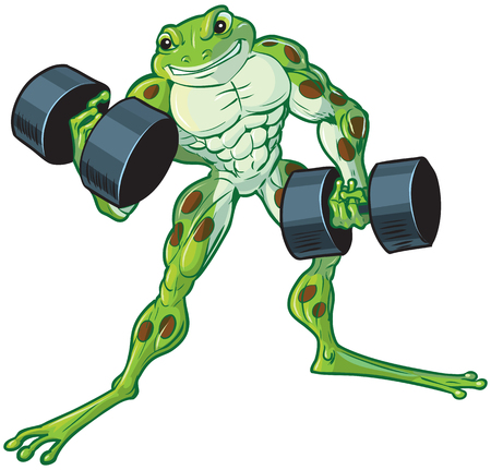 Vector cartoon clip art illustration of a tough muscular weightlifting frog curling or lifting dumbbells.のイラスト素材