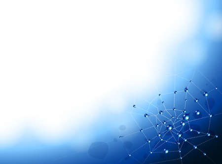 Background Collection Vol.01_Spider webs and water dropletsのイラスト素材