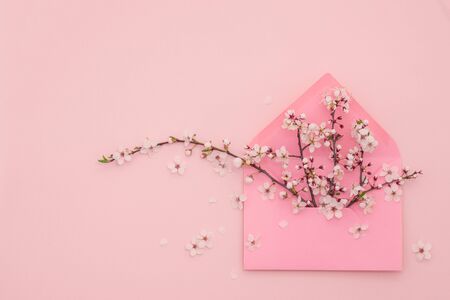 Living pink pastel background made of spring cherry blossom flowers and envelop, copy space. Natural floral framework background. Top view, flat lay. Valentines day, Womans day, Mothers day, birthdayの写真素材