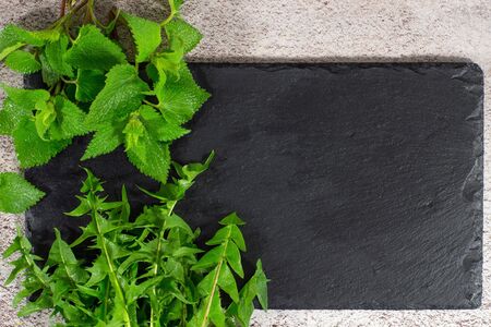 Spring picked fresh food nettle leaves, dandelion. Healthy wild spring organic, bio vitamins from nature on black stone background. Flat lay, copy space for tex, logoの写真素材
