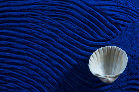 Blue spirulina powder texture with white sea shells on waves background. Phycocyanin extract....