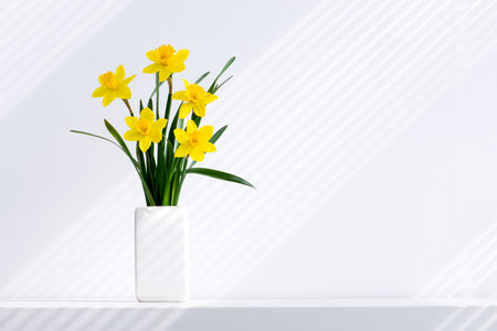 Hello spring, summer flowers background concept with sun rays. Easter yellow bunch of blossoming narcissus flowers in white vase on white nature background, space for text.の写真素材