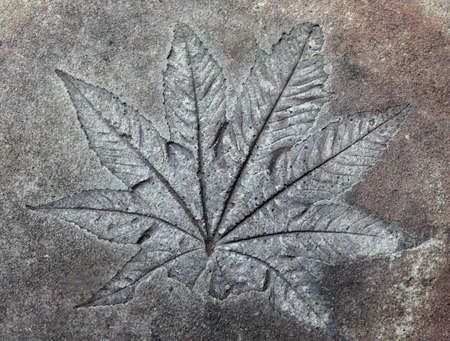 Aged cement wall textureの写真素材