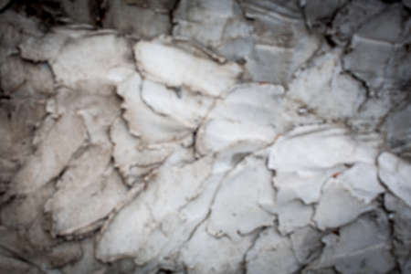 Blur Gray cement texture with hard  grain for input sometextの写真素材
