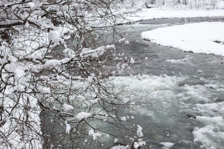 Beautiful Snow Covered Trees winter landscape Shirakawago Japanの写真素材