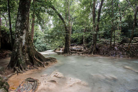 Mountain creek in deep forestの写真素材