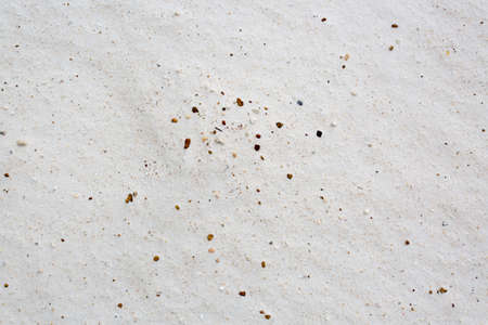 sand texture with some pebble backgroundの写真素材