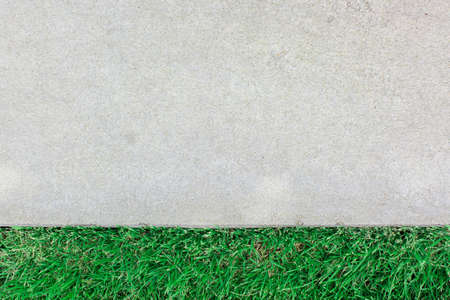 concrete and green  grass  for input some text messageの写真素材