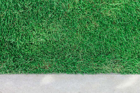 concrete and green  grass  for input some text messageの写真素材