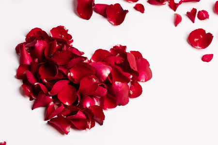 red rose petals heart shape  on white background