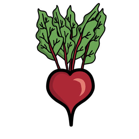 Beetroot Heartのイラスト素材