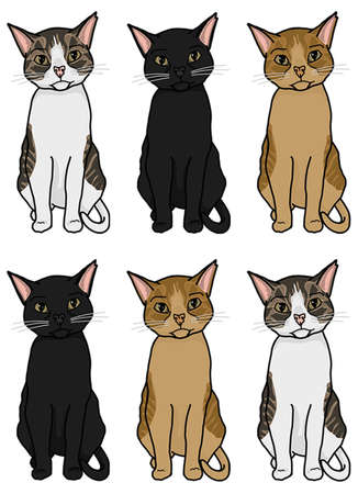 Cat Pattern isolated on whiteのイラスト素材