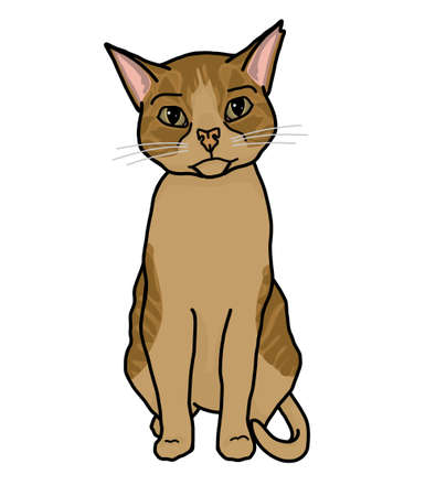 Ginger cat isolated on whiteのイラスト素材