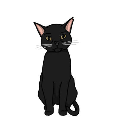 Black cat isolated on whiteのイラスト素材
