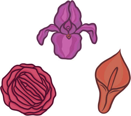 Vagina flowers  setのイラスト素材