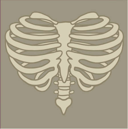 Heart Shaped Rib Cageのイラスト素材