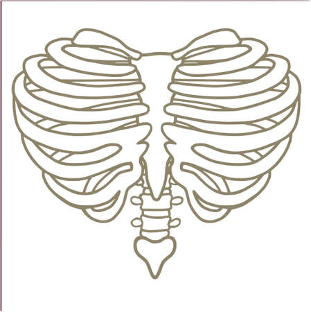 Heart Shaped Rib Cage Linesのイラスト素材