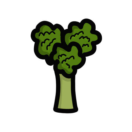 Heart shaped broccoliの写真素材