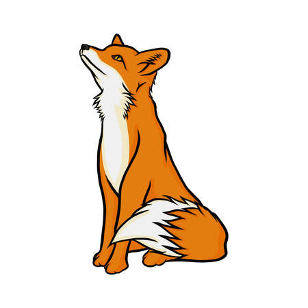 Cute fox illustrationの写真素材
