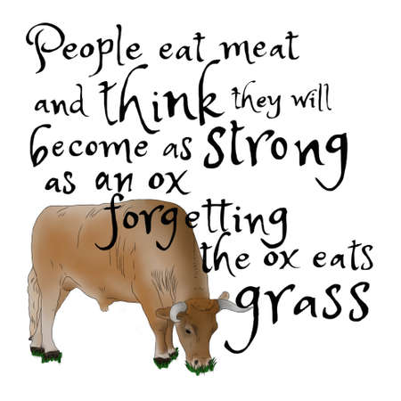 People eat meat and think they will become as strong as an ox forgetting the ox eats grassの写真素材
