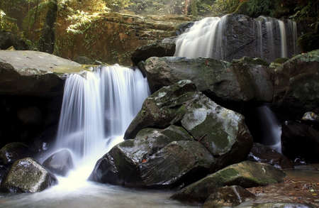 Waterfall in a Borneo Jungle, Kionsom waterfall Kota Kinabalu Sabah Malaysiaの写真素材