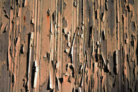 Tear aged paint on wooden wallの写真素材