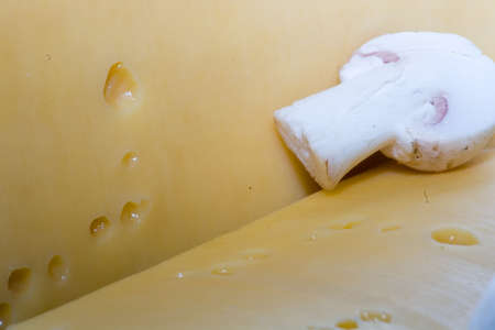 mushroomの写真素材