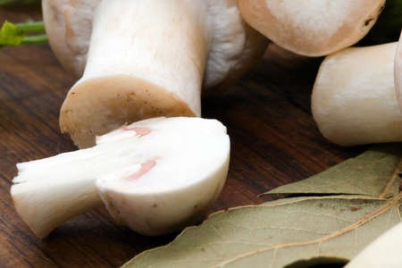 mushroomsの写真素材