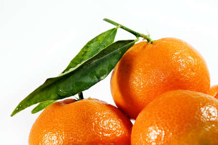 Tangerines on the wite backgroundの写真素材