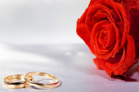 On a photo a rose and wedding ringsの写真素材