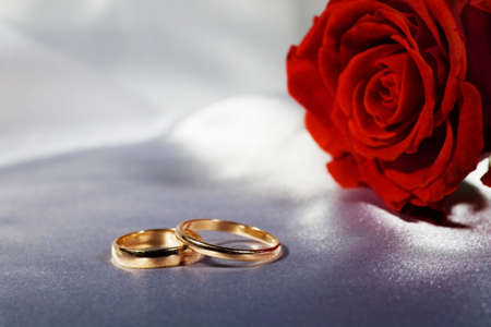 On a photo a rose and wedding ringsの写真素材